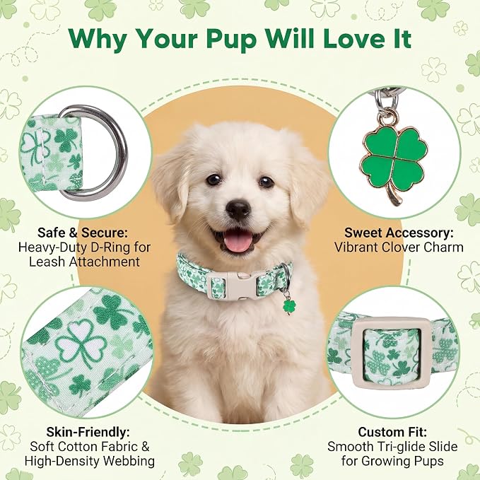 Green Dog Collar, Cute Spring Dog Collar with Green Clover Print for Large Dogs, Breathable Adjustable Large Collars for Male Female Dogs, L