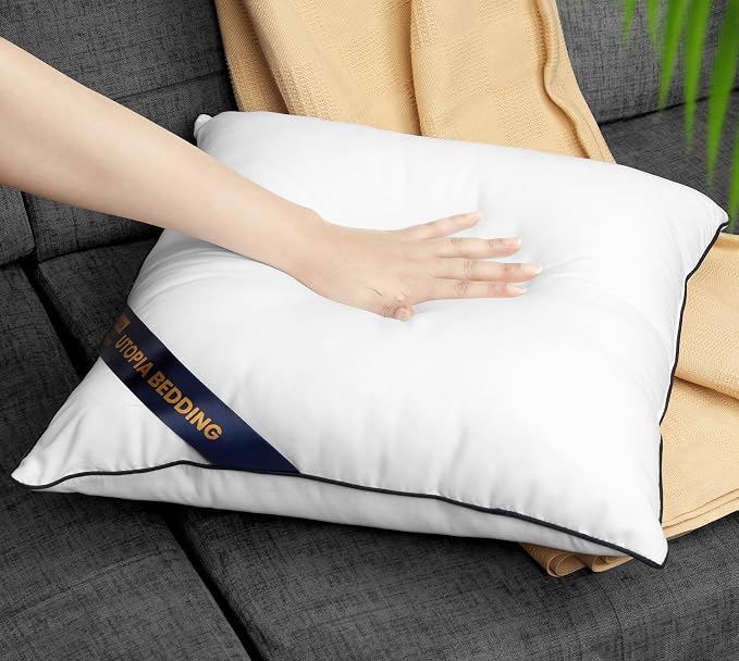 Utopia Bedding 20x20 Throw Pillow Inserts, Decorative Pillows, Pack of 2 | Piping Throw Pillows, Plush & Supportive, Aesthetic Cushion Sham Stuffer for Sofa, Office, Couch & Bed, Set of 2, White