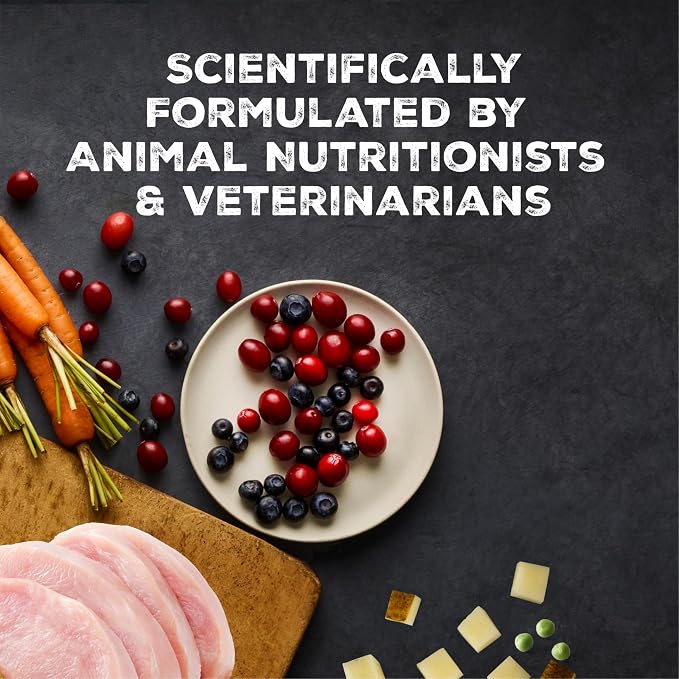Blue Buffalo Wilderness Turkey Paté Adult Wet Cat Food, 5.5 oz, 24 ct | Real Turkey #1 Ingredients, High Protein & Grain-Free Recipes, Supports Energy for an Active Life