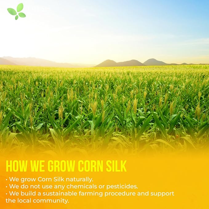 FreshDrinkUS, Premium 40 Tea Bags Corn Silk Tea, 100% Natural & Pure from Corn Silk. Corn Silk Herbal Tea. Clean Ingredients. Made with Natural Material Tea Bags. No Sugar, No Caffeine, Vegan.
