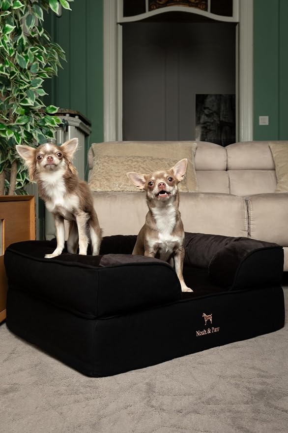 NOAH & PAW Dog Bed, 28x23x11 Inch, Orthopedic Dog Beds for Medium Size Pets, Eggshell Memory Foam Infused with Cooling Gel, Inner Cover, Water Resistant, Machine Washable (Denim Sofa Collection)