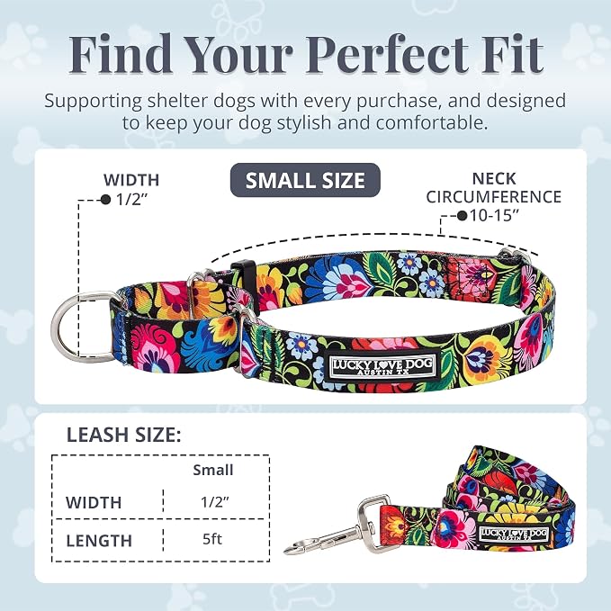 Lucky Love Dog Martingale Collar & Leash Set No Slip – Blackbird, Small