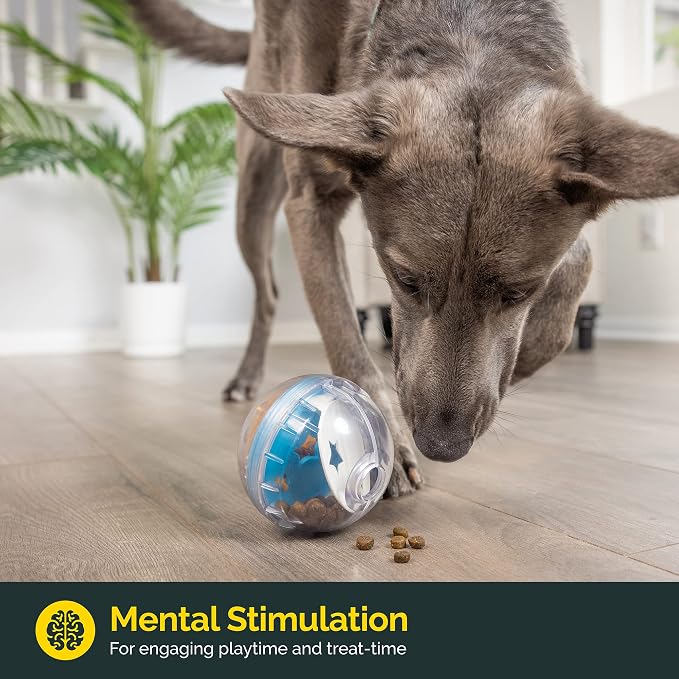 Pet Zone IQ Treat Ball, Interactive Dog Dispenser Toy, 4 Inch Slow Feeder | Mental stimulation for pups, fill with snacks to extend eating time and keep them busy, engaged and entertained at home daily