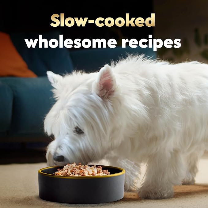 Cesar Wholesome Bowls Wet Dog Food, Beef & Green Beans, 3 oz, 10 Count | Real chicken #1 ingredient, 11 key ingredients or less, no by-products or artificial flavors, serve solo or with dry food