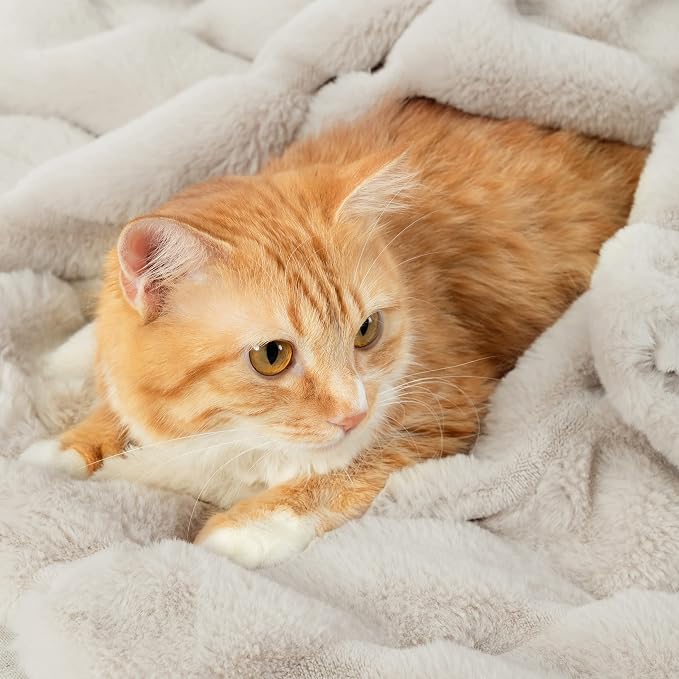 Cozy Bliss Deluxe Sheared Rabbit Faux Fur Throw Blanket, Soft Fuzzy High-Low Sculpted Plush Blanket for Couch, Cozy Home Accent, All Season Use, Beige 60"x80"