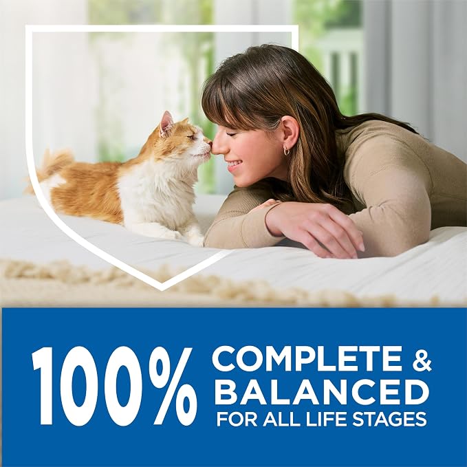 Purina Cat Chow High Protein Dry Cat Food, Complete - 3.15 Pound (Pack of 4) | Adult and kitten cat food for every life stage, made with real chicken, with omega-6 fatty acids for a shiny coat