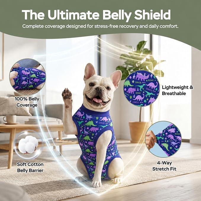 PetWarm Dog Recovery Suit, Onesies for Dogs, Dog Cone Alternative After Surgery Substitute E-Collar and Cone Prevent Licking Dog Onesies Pet Surgery Recovery Suit, Dinosaur Pattern, Blue Purple, 2XL