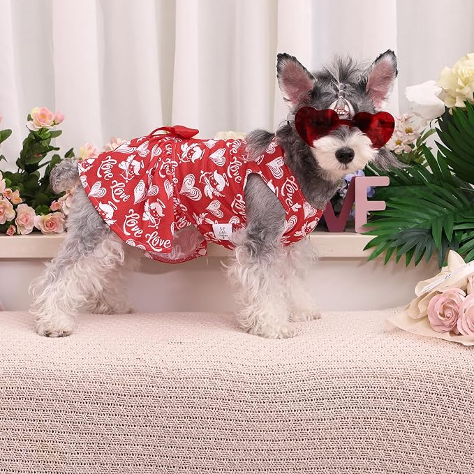 CuteBone Dog Mesh Dress Valentine's Day Puppy Sundress Pet Outfit Summer Fashion for Small Dogs Girl Cat Clothes