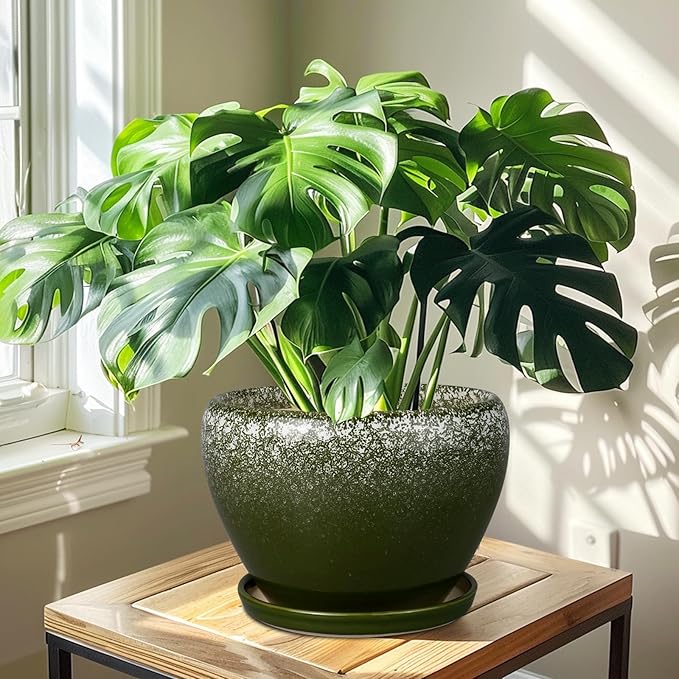 Ceramicfor 10 Inch Planter Pot - Ceramic Pots for Plants with Drainage Hole and Saucer, Round Large Flower Pot for Indoor Plants, Dark Green