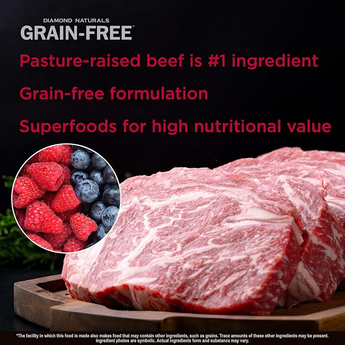 Diamond Naturals Grain Free Real Meat Recipe Premium Dry Dog Food With Real Pasture Raised Beef 5Lb | Puppy, Adult & Senior Dogs | Real Beef & Sweet Potatoes for All Day Energy | Guaranteed Probiotics for Digestive Support