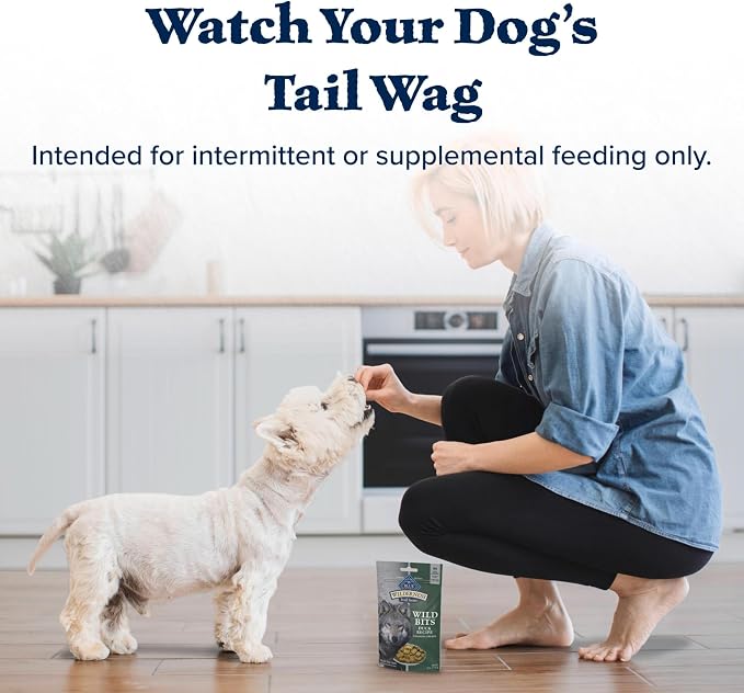 Blue Buffalo Wilderness Trail Treats Duck Crunchy Dog Biscuits, 10 oz | Real Duck #1 Ingredient, High Protein & Grain-Free Dog Snacks, Great for Training, No Artificial Preservatives