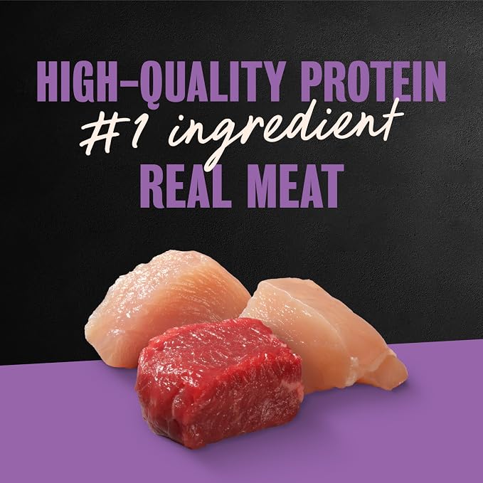 Cesar Classic Loaf in Sauce Wet Dog Food, Meaty Selects, 3.5 oz, 36 Count | Made in USA, Real meat #1 ingredient, no fillers or artificial flavors, formulated without grains, easy peel trays