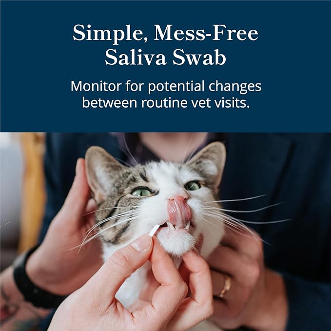 Petivity At-Home Oral Health Test for Cats & Dogs — 10-Second Dental Check Kit by Purina — Simple Saliva Swab to Detect Bad Breath & Gum Issues - (Pack of 3)