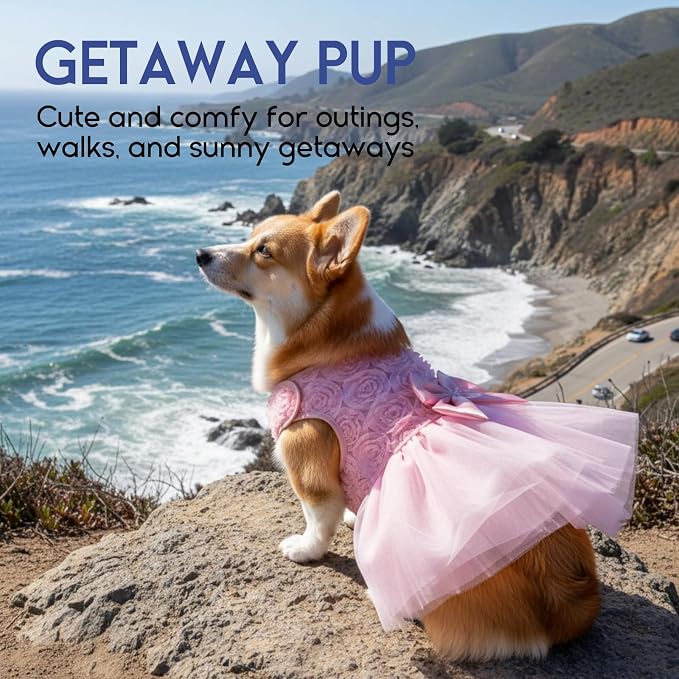 ASENKU Dog Dress Pet Wedding Dress Puppy Birthday Party Outfit, Pink XL | Dog Flower Girl Dress With Leash Hole, Princess Puppy Dress For Weddings, Daily Wear, Fits Small Medium Large Dogs Cats