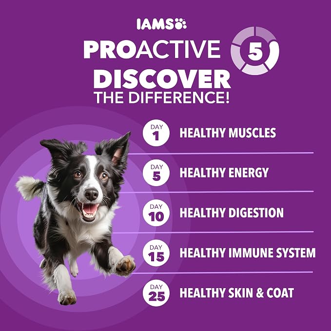 IAMS Advanced Health Skin & Coat Dry Dog Food, Chicken & Salmon, 4.5 lb | Vet-recommended, Omega 6:3 fatty acids, zinc & vitamin E, real chicken #1 ingredient, real salmon, no artificial flavors