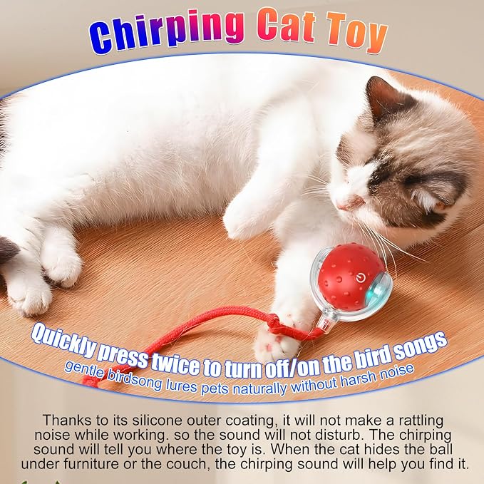 2Pcs Dog Toy, Interactive Dog Cat Toys Balls with Birdsong, Rechargeable 360° Smart Automatic Rolling Electric Dog Ball Toy with Rope for Pets Indoor & Outdoor Play (Red+Blue)