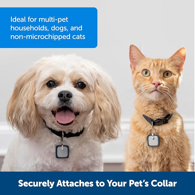 PetSafe SmartDoor Connected Pet Door Collar Key, Large, ZAC19-17682 | Selective-Entry Collar Key Fits Medium & Large SmartDoor, Custom Schedules via My PetSafe App