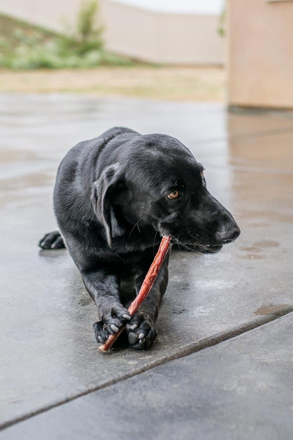 GigaBite Beef Esophagus Dog Treats Sticks - 6 Inch , 40 Pack | All Natural, Single-Ingredient Beef Gullet Chews, High Protein, Rawhide Free, Supports Dental Health