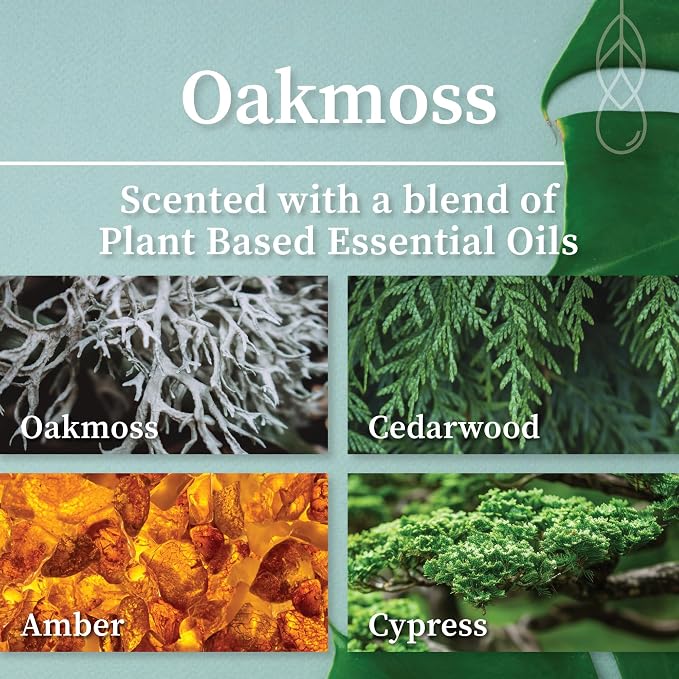 Hemlock Park Oakmoss Apothecary Scented Candle | Crackling Wood Wick, Botanical Fragrance & Coconut Apricot Wax | Up to 80 Hour Burn Time | 16 oz | Made in USA