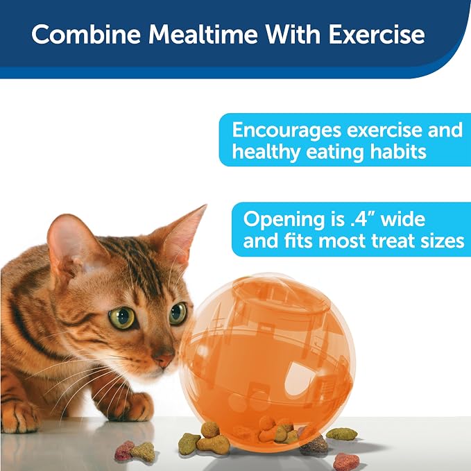 PetSafe Slimcat Feeder Ball Cat Toy, Orange | Interactive Puzzle Game for Your Cat, Adjustable Openings Control Portion & Feed Speed, Slows Fast Eaters, Improve Digestion