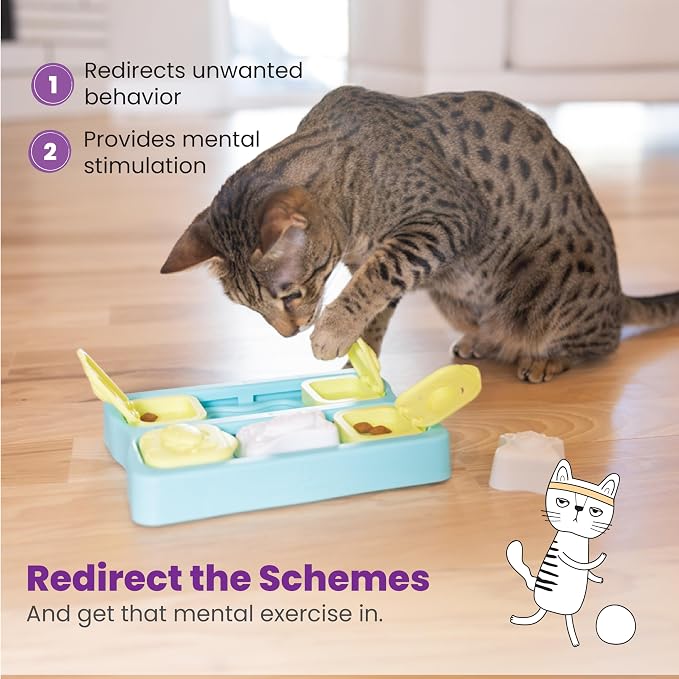 Catstages Kitty Cube Interactive Treat Puzzle Cat Toy, Blue (Pack of 12)