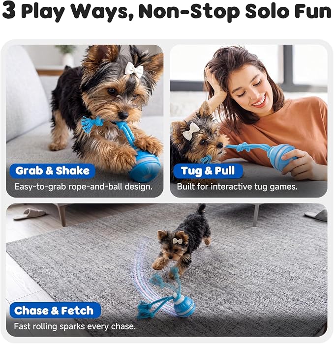 Interactive Small Dog Toys Ball, Smart Automatic Moving Rolling Dogs Toy | Interactive Dog Ball for Small & Medium Dogs, 3 Modes with Bird Chirps&RGB Lights, Bite-Resistant Rope, IP54 Waterproof(Blue)