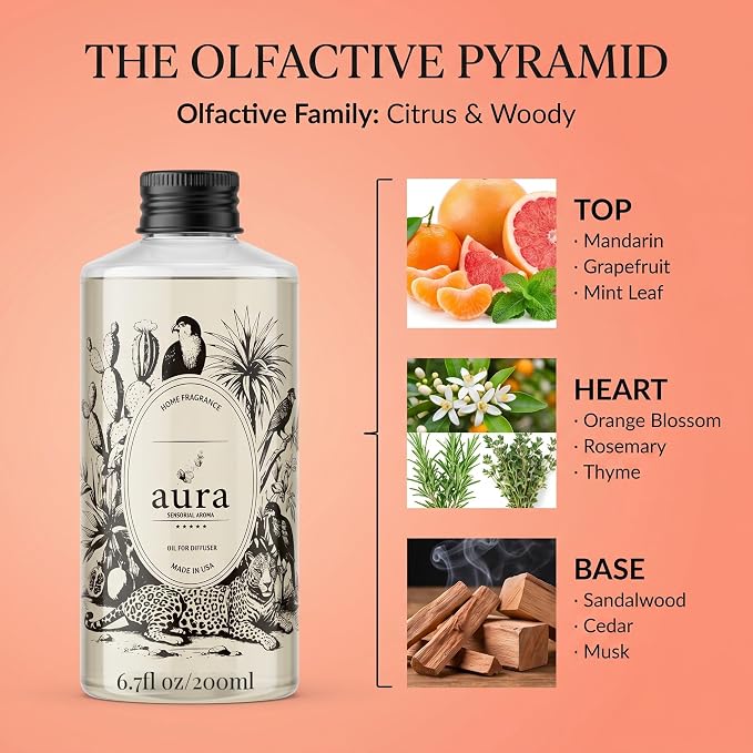 A U R A - Marseille Fragrance Oil for Waterless Scent Diffuser - Inspired by Loevve-Solo | (6.7 fl oz, 200 ml) Pure Essential Oil Blends for Aromatherapy Diffuser & Hotel Collection Oil Diffuser