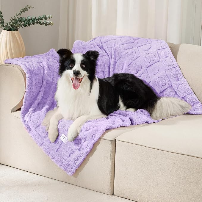 Luciphia Soft Small Dog Blanket 300GSM Fleece Throw Puppy Cat,41"x31" | Pink Blanket Washable for Medium/Large Dogs, Cute Cover on Bed Couch Crate Car, Puppy Essentials,Cat Stuff, Dog Gift