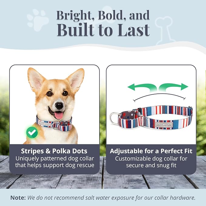 Lucky Love Dog Martingale Collar for Small Dogs No Slip Cute – Linus, Small