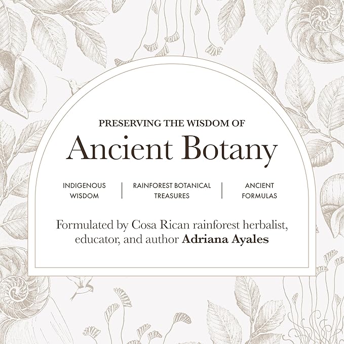 Anima Mundi Apothecary Rose Body Oil - Botanically Dense Adaptogenic Collagen Formula - Made with Organic Moringa & Jojoba Oil for Skin Rejuvenation - Rose Scented & Hydrating (4oz / 118ml)