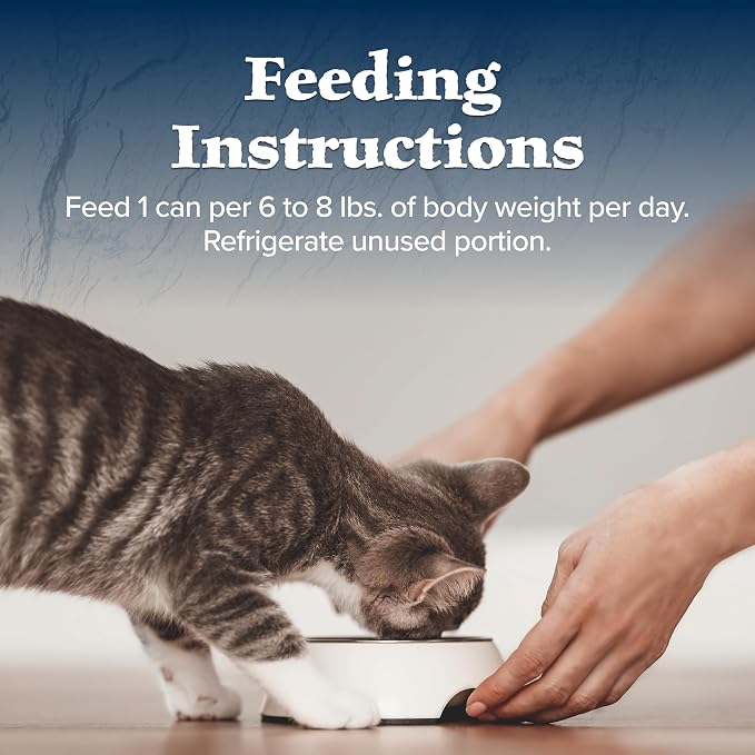 Blue Buffalo Wilderness Rocky Mountain Recipe Wet Cat Food Flakes (24 Pack) | Flaked Trout in Tasty Gravy, Grain-Free & Chicken-Free, High Protein, Made with Natural Ingredients, 5.5-oz. Cans