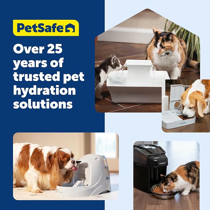 PetSafe Seaside Stainless Pet Fountain, 12 Carbon & 2 Foam Filters, 1 Pump | 60 Oz Capacity, 360-Degree Flow, Triple-Filter with 2.5x More Activated Carbon, Scratch/Rust-Resistant Stainless Steel
