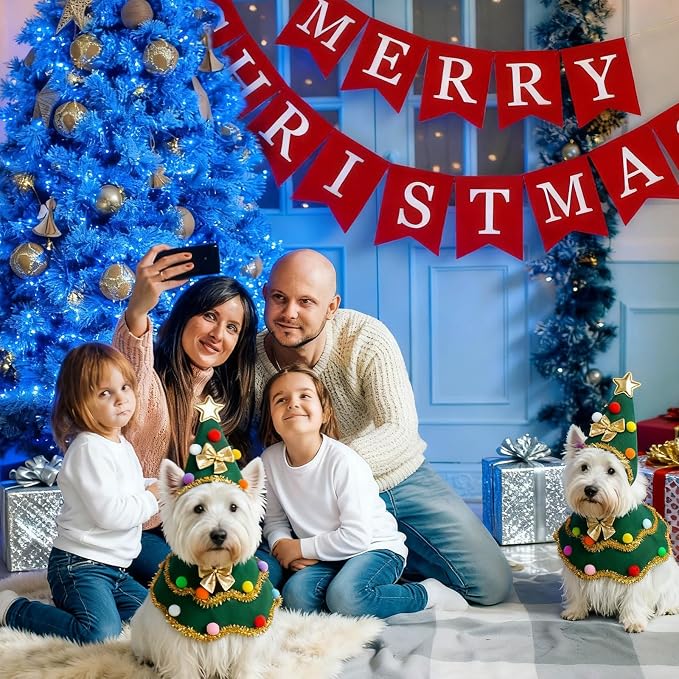 Large Dog Christmas Costumes Green Xmas Pet Cloak 2PCS Santa Cape Hat Christmas Tree Outfit Winter Warm Coat Pet Elf Clothes for Medium Large Dogs Holiday Party Dress (Christmas Tress Green, Medium)