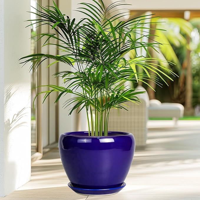 Ceramicfor Ceramic Plant Pot 8 Inch - Planter for Outdoor Plants Indoor Plant Pot with Drainage Hole and Saucer Decorative Round Planter Modern Flower Pot for House Decor Blue