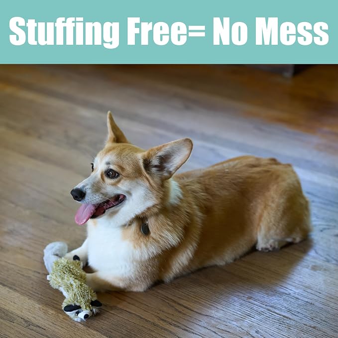 SPOT Skinneeez Raccoon 14 Inch Stuffing-Free Plush Dog Toy – Soft, Mess-Free Toy with One Squeaker for Small & Medium Dogs, Best for Light to Moderate Chewers (Pack of 2)