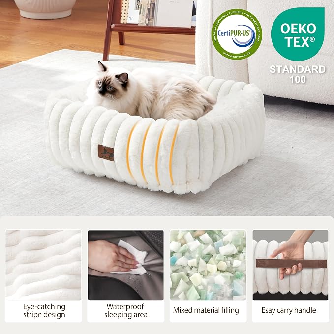 Cute Dog Bed for Small Dogs & Cats,Washable Fluffy Cat Beds for Indoor Cats, Rectangle Orthopedic Memory Foam Puppy Beds with Anti-Slip Bottom, 20 x19 x 6 Inches, Cream (20x19x6 inches)