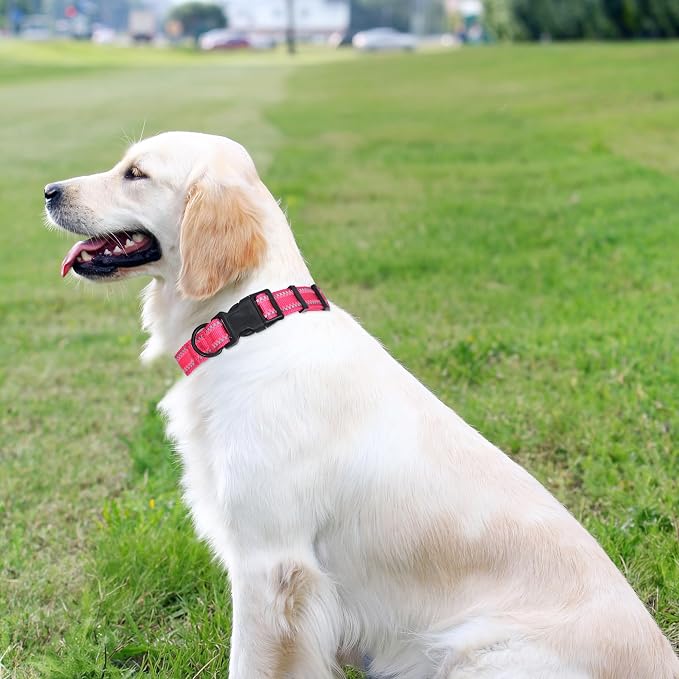 Mile High Life Reflective Dog Collar, Adjustable Lightweight Quick Release