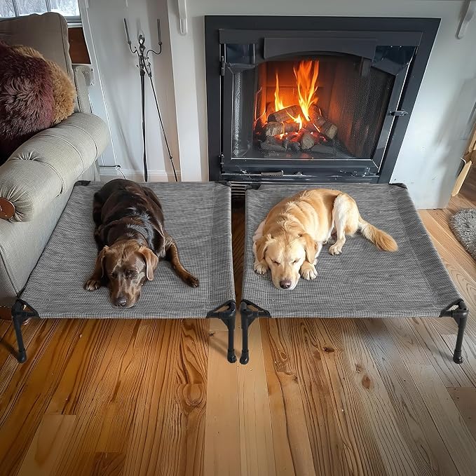 Veehoo 2 Pack Outdoor Elevated Dog Bed for Large Dogs, Cooling Raised Cots | Off-ground training platform, portable camping hammock, breathable mesh, easy to clean, 42"x30", Black Silver