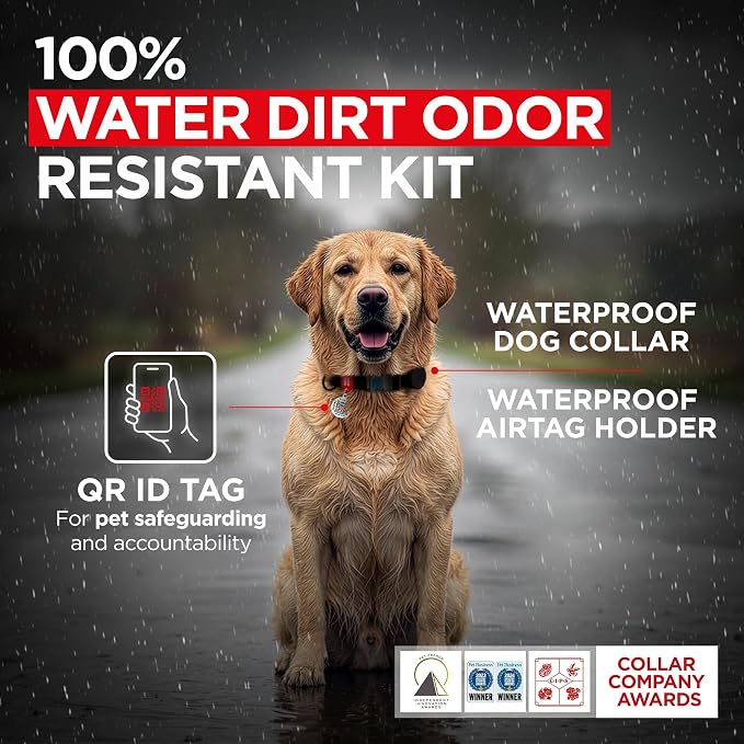 WAUDOG Waterproof Dog Collar Airtag Holder QR Tag Small Medium Large Dogs | Water and Dirt Resistant, Quick Dry QR Pet Tag Adjustable Durable Comfort for Male and Female Dogs Outdoor Walking Training