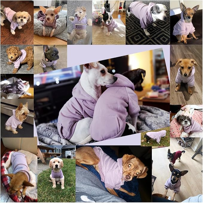 Soft Dog Hoodies for Small Dogs, Warm Fleece Puppy Clothes with Pocket | Jecikelon cold weather coat, cute puppy costume, breathable sweatshirt for dogs girl & boy, machine washable, easy on & off