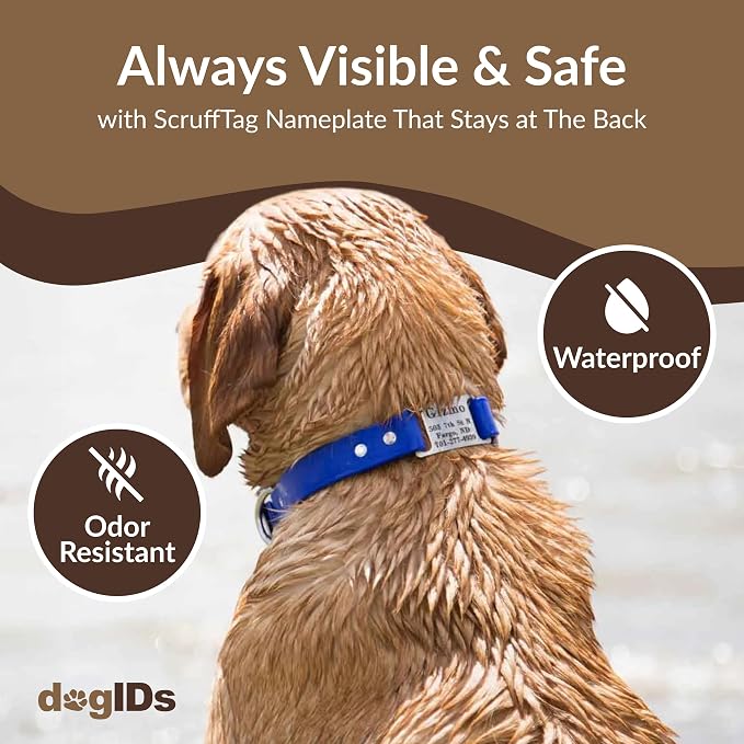 dogIDs Personalized Dog Collar – ScruffTag Custom Waterproof Biothane Dog Collar with Laser-Engraved Name, Durable & Odor-Resistant – USA Made | Pink, 3/4 in x 16 in (Fits Neck Sizes 14-18 in)