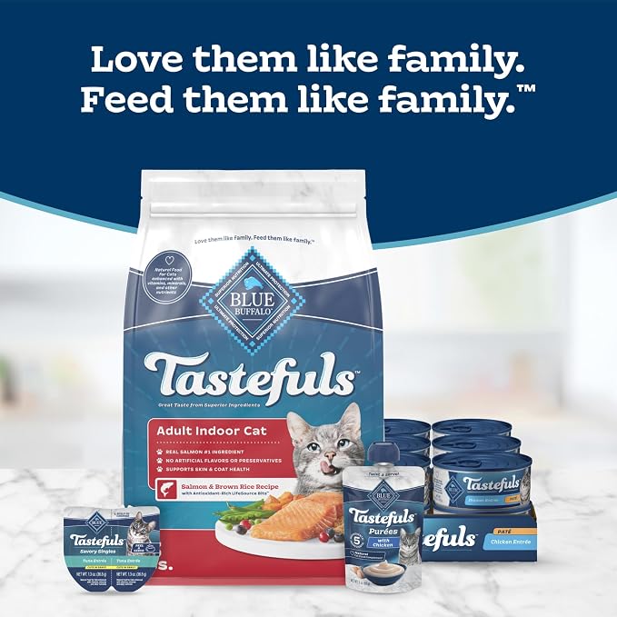 Blue Buffalo Tastefuls Salmon Adult Indoor Dry Cat Food, 15 lb | Salmon & Brown Rice Recipe, Antioxidant-Rich LifeSource Bits, No Corn, Wheat, or Soy