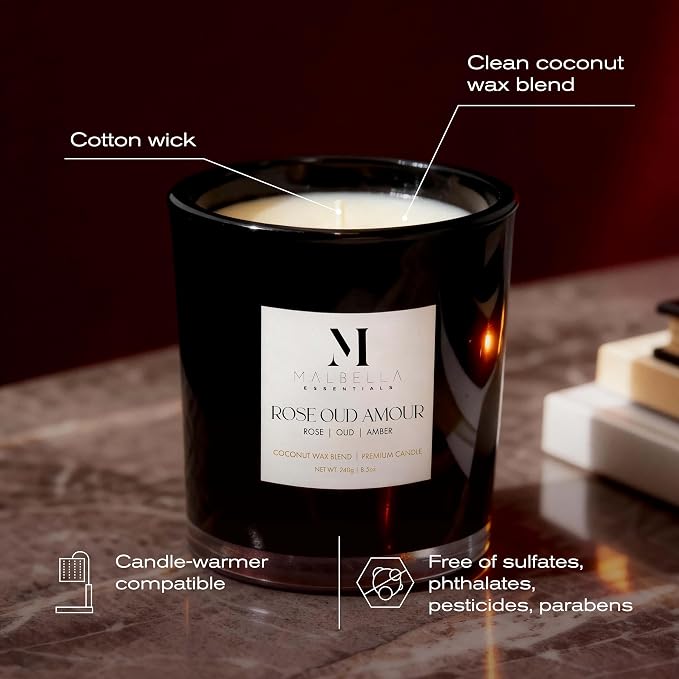 Candle & Warmer Set – 8.5 oz Coconut Blend Luxury Candle + Hand Blown Glass Lamp Warmer | Modern Self-Care Gift Set (Chrome, Rose Oud)