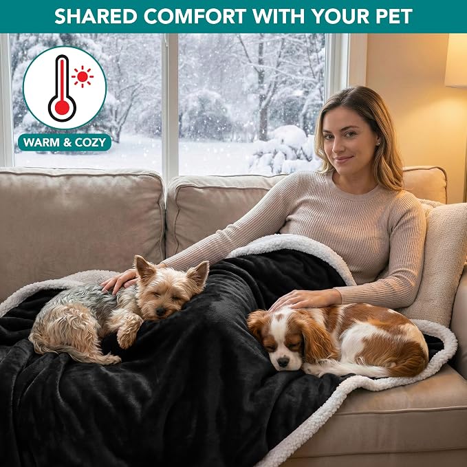 PetAmi Waterproof Dog Blanket for Medium Large Dog Pet, 60x40, Black | 460 GSM Sherpa Fleece Reversible, Pee Proof Cat Blanket, Furniture Protector Cover for Couch Bed Sofa Kennel, Washable, Large