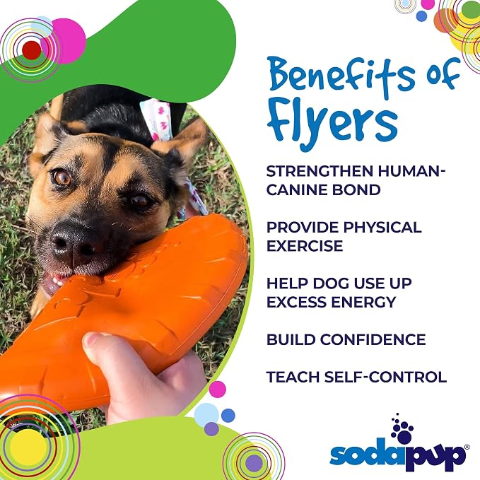 SodaPup Bottle Top – Durable Flyer Retrieving Toy Made in USA from Non-Toxic, Pet-Safe, Food Safe Natural Rubber for Bonding, Physical Exercise, Building Confidence, Teaching Self-Control, & More