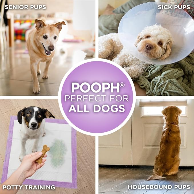 POOPH® Potty Pads™ 24 x 24 in, 50 Count | Disposable 24 x 24 in potty pads with absorbent core and odor control. Includes 50 pads