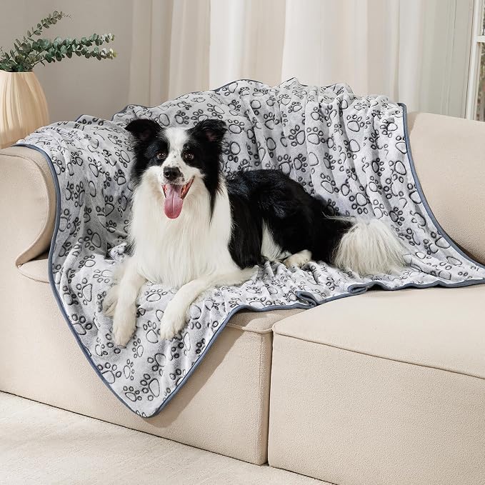 Luciphia Dog Blanket 3 Pack, Soft Cozy Fleece Throw for Puppy Cat,30"x20" | Fuzzy Flannel Small Pet Blanket Washable, Cute Paw Print for Crate Car Bed. Puppy Essential,Cat Stuff Gifts,Medium