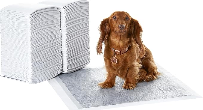 Amazon Basics Carbon Odor Control Dog and Puppy Pee Pads, 5-Layer Leak-Proof Super Absorbent, Quick-Dry Surface for Potty Training, Regular Size 22"x22", Gray, 120 Count