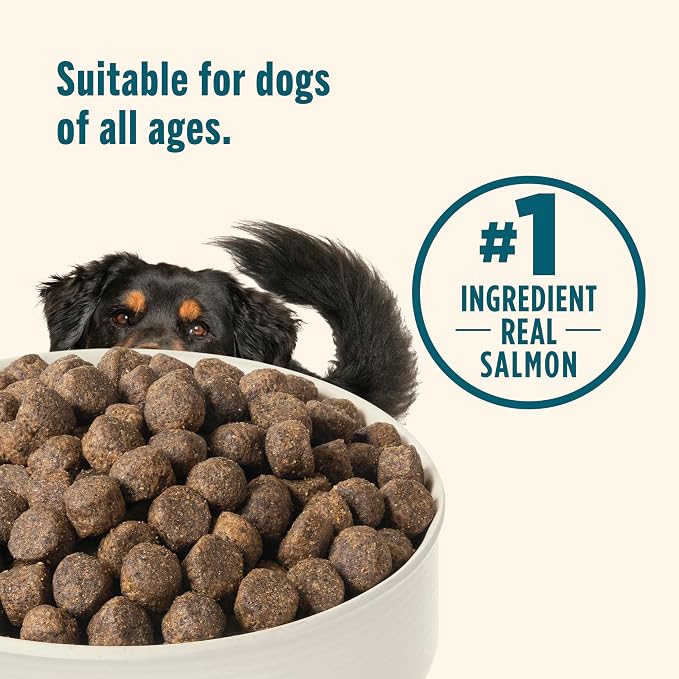 Nutrish Grain Free Salmon Dry Dog Food, 11.5 lb. Bag (Rachael Ray) | Made with Sweet Potatoes to Support a Healthy Digestion, No Added Grain or Gluten Ingredients or No Poultry By-Product Meal