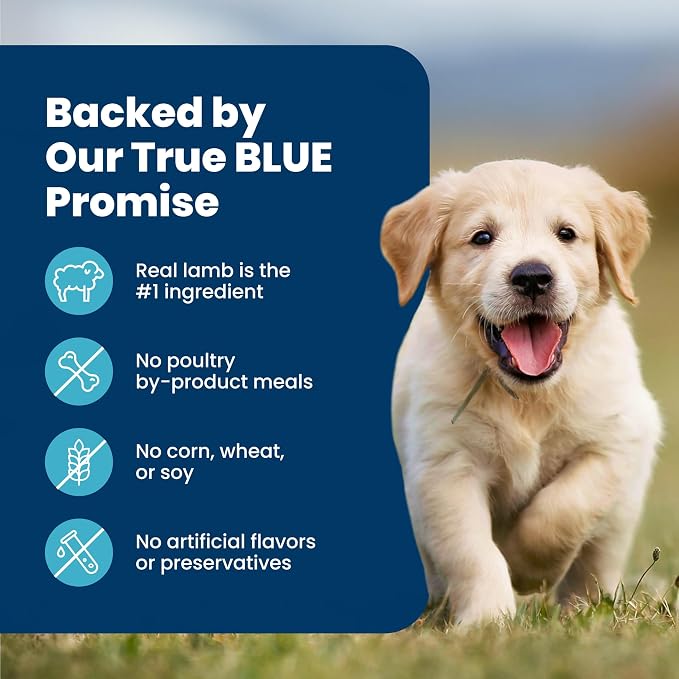 Blue Buffalo Life Protection Formula Lamb Puppy Dry Dog Food, 5 lb | With DHA for Brain Development, Real Lamb #1 Ingredient, Antioxidant-Rich LifeSource Bits, Promotes Healthy Muscle Growth